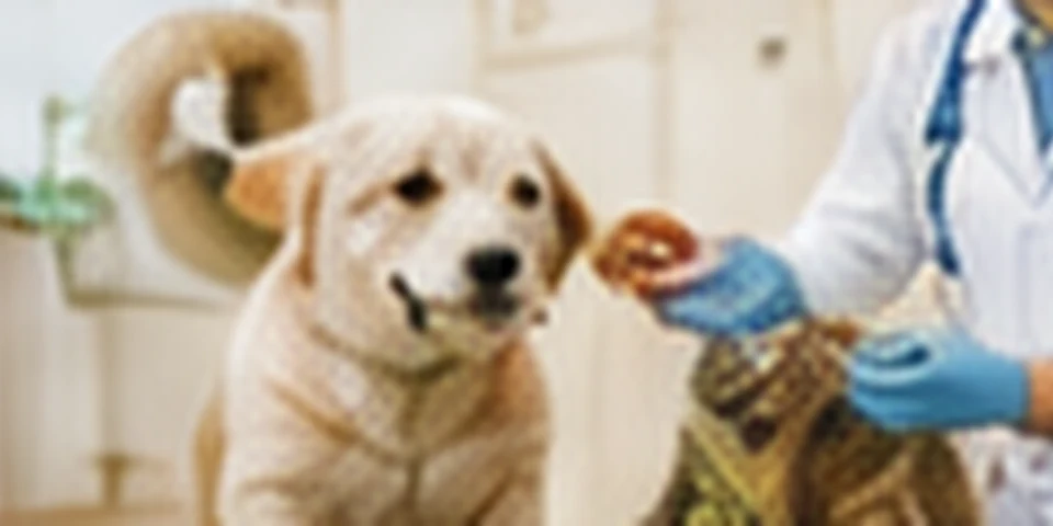 Apa și hidratarea: cât de importantă este?