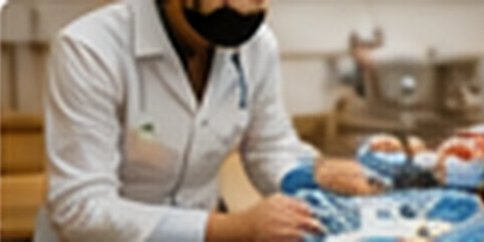 Când vărsăturile devin o urgență veterinară