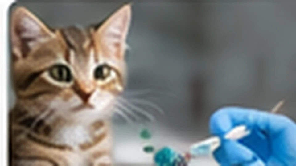 Vaccinări & rapeluri